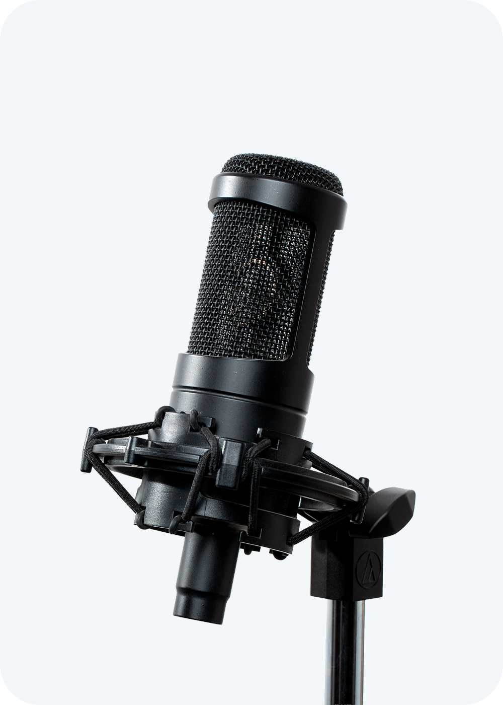 Professional studio microphone